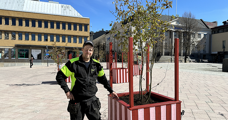 en man står bredvid en rödrandig låda med ett träd i