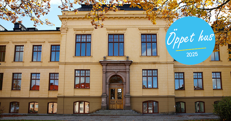 Härnösands gymnasium på hösten. Träd med orangea och gula löv.