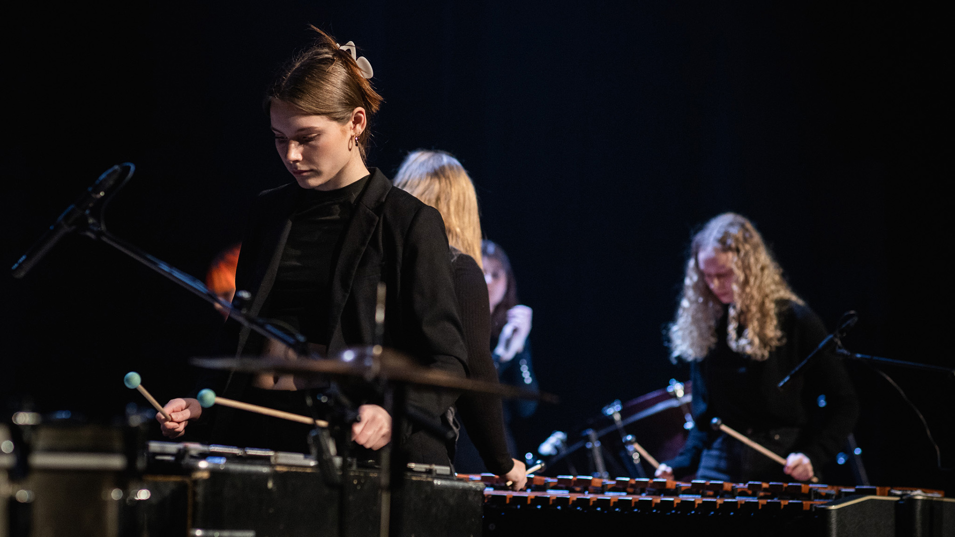 En flygbild över centrala Härnösand.