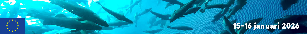 Seminarium: Kommunalt framtidssäkrad matfisk.