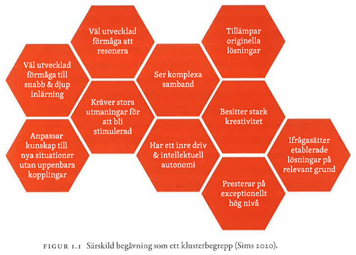 Bilaga 1: Särskild begåvning som ett klusterbegrepp.