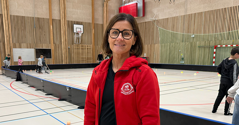 Idrottensdag, skola, sport