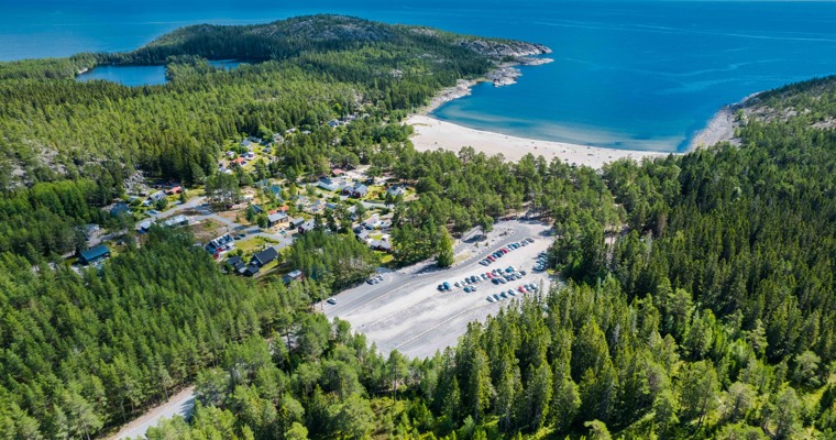 flygbild över ett havsnära skogsområde