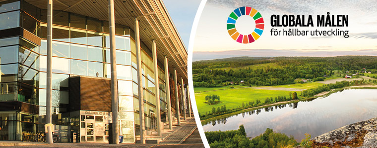 De globala målen.