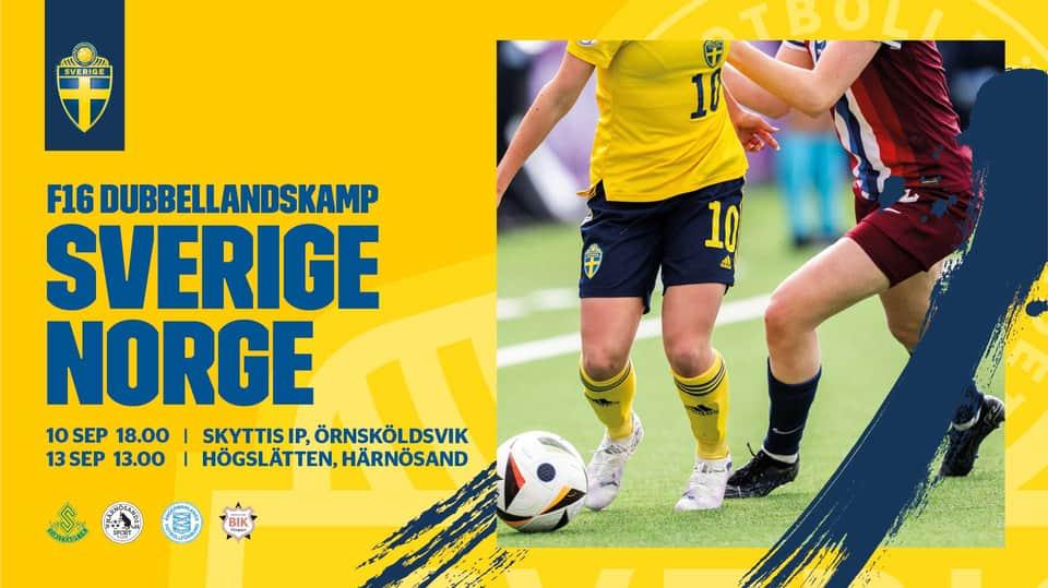 En flygbild över centrala Härnösand.