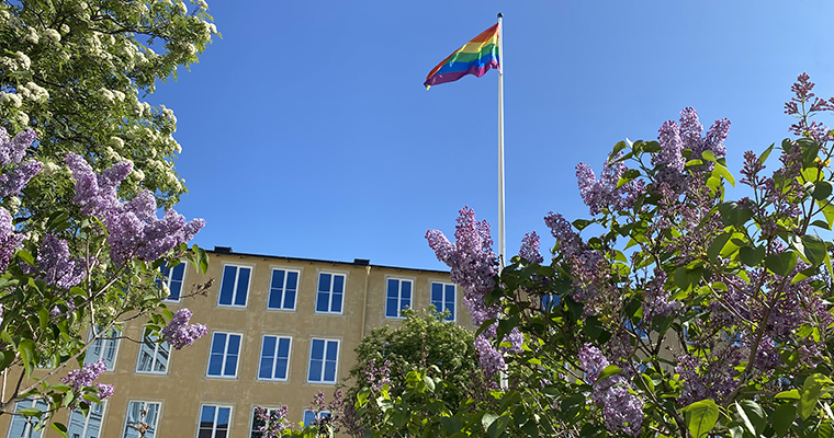 Regnbågsflaggan är hissad!
