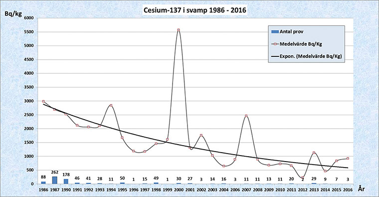 Diagram över cesium i svamp för åren 1986-2016.