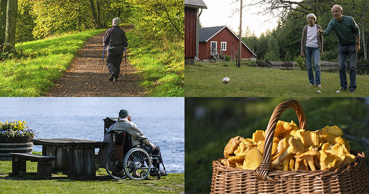 Bildkollage: En kvinna på promenad, ett par som spelar boule, en rullstolsburen man vid havet och en korg med kantareller.