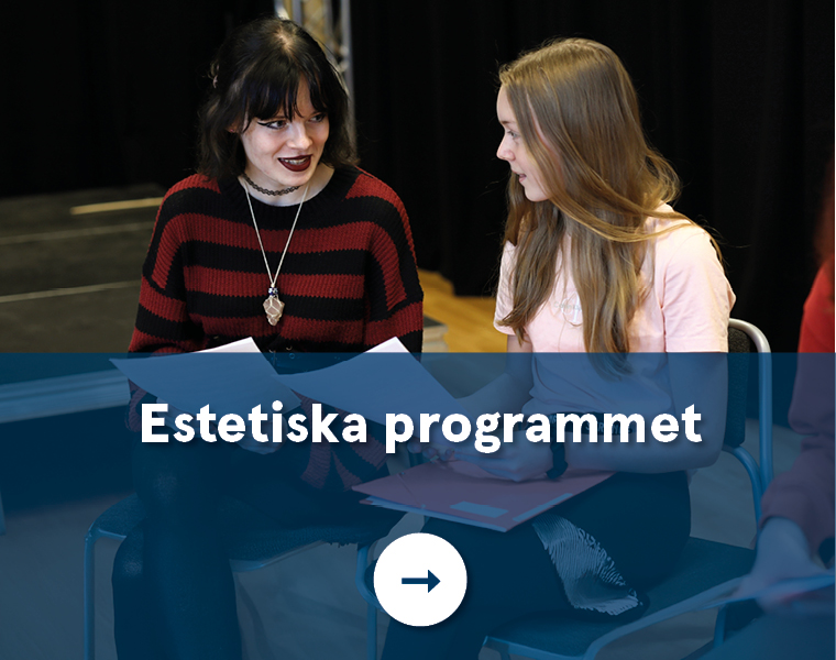 Estetiska programmet.