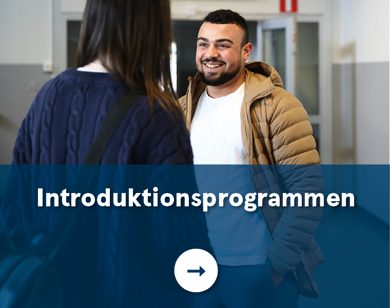 Introduktionsprogrammen.