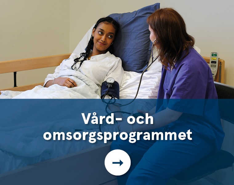 Vård- och omsorgsprogrammet.