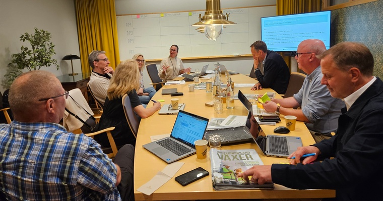 Mötesbild med deltagare i EU-projekt HSO