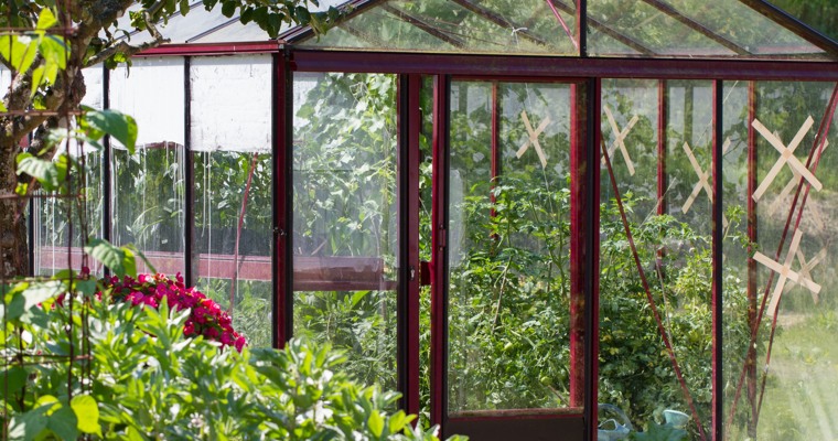 ett växthus med röda lister och mycket grönska