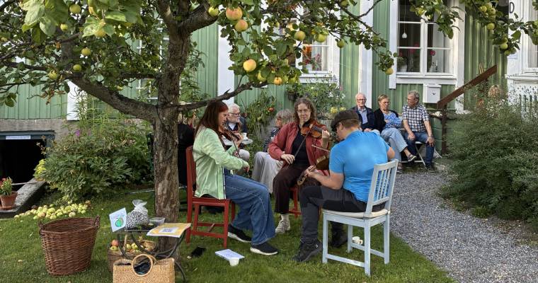 Fika och musik i soligt Östanbäcken.