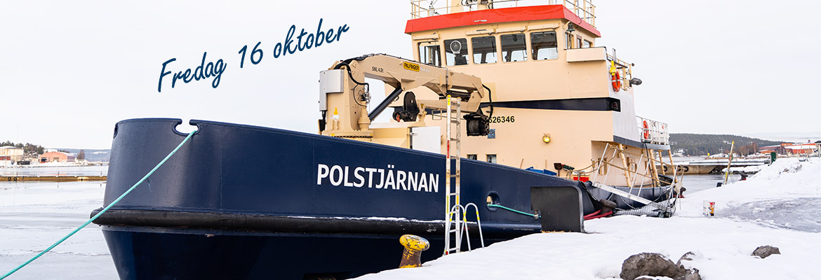 Fartyget Polstjärnan.