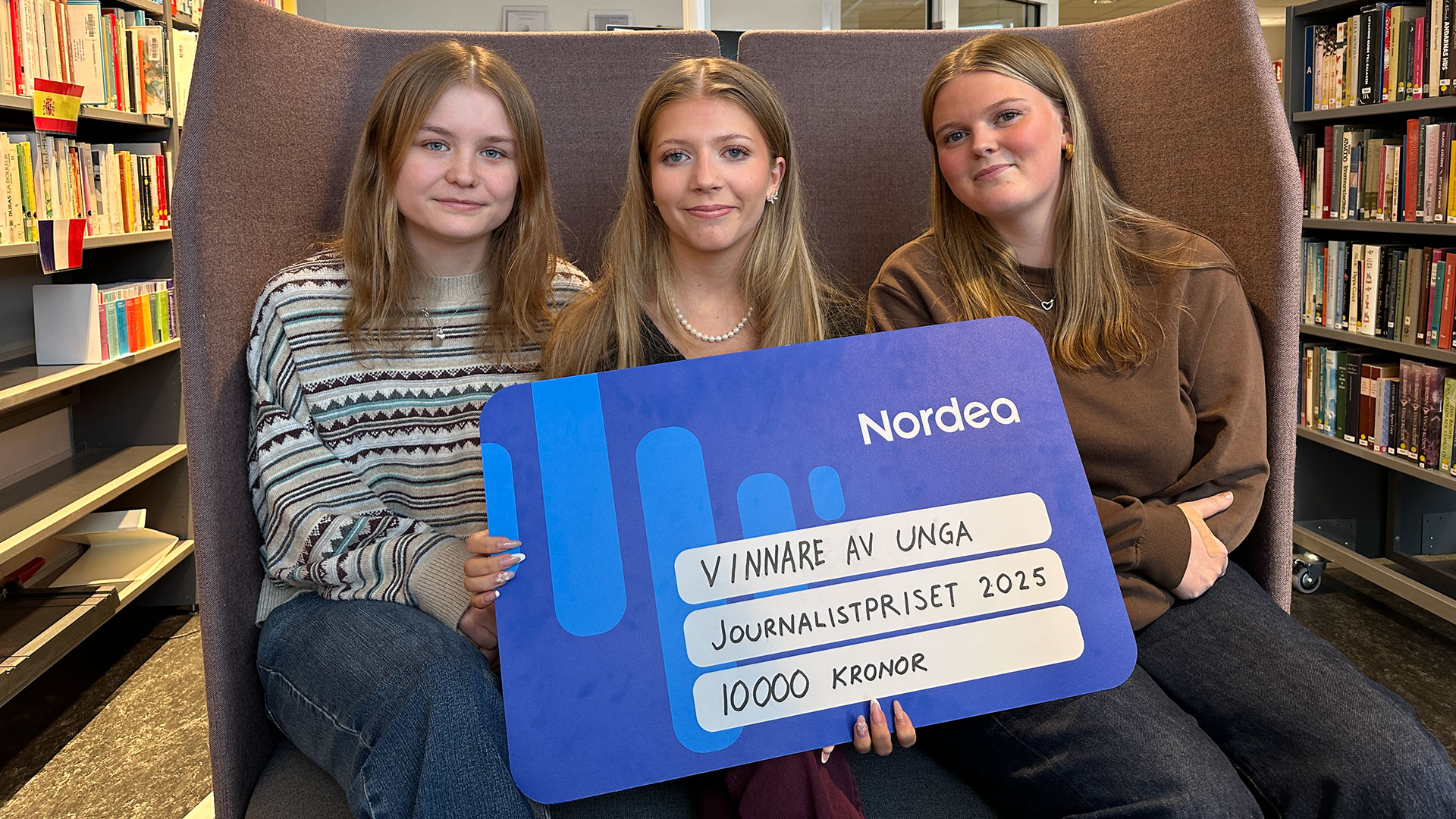 En flygbild över centrala Härnösand.