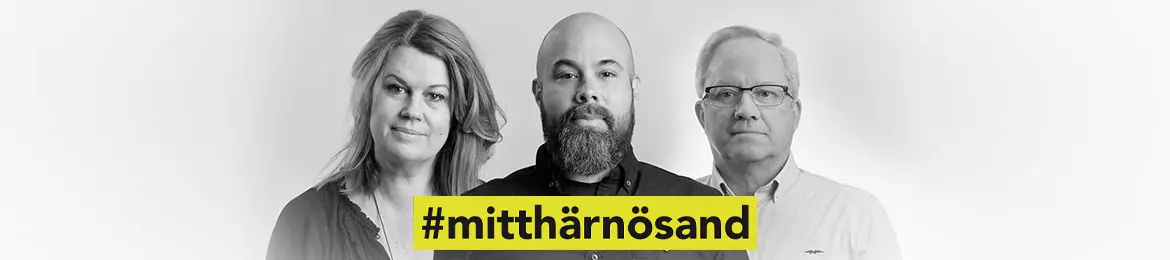 Lena Fällström, Jon Hultman och Ove Sjödin