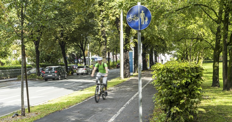 en person cyklar på en cykelbana i en park