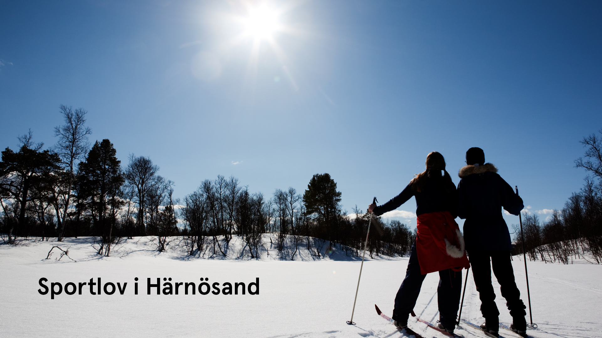 En flygbild över centrala Härnösand.