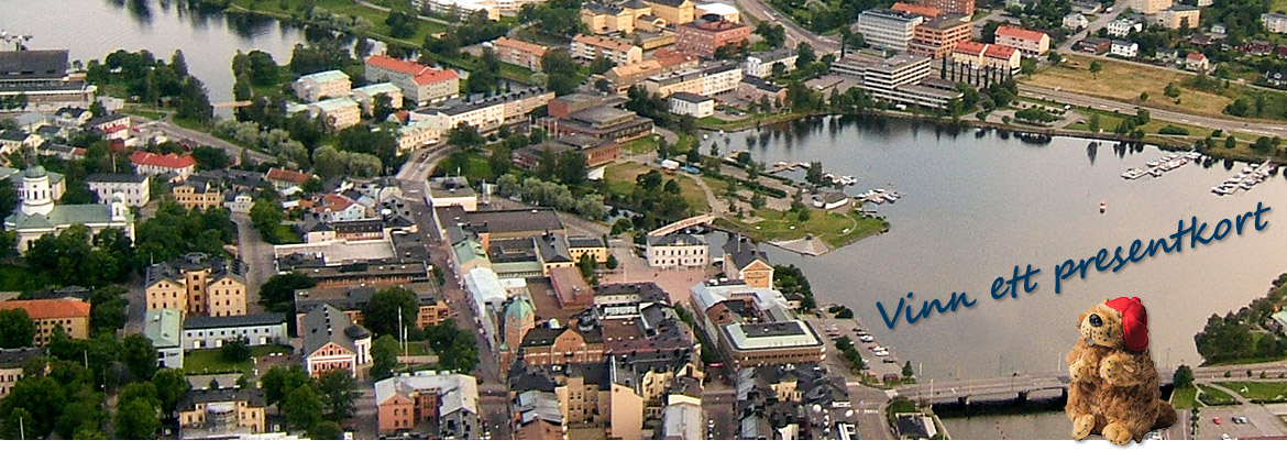 En flygbild över centrala Härnösand.