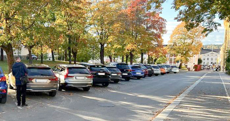 parkerade bilar längs en gata