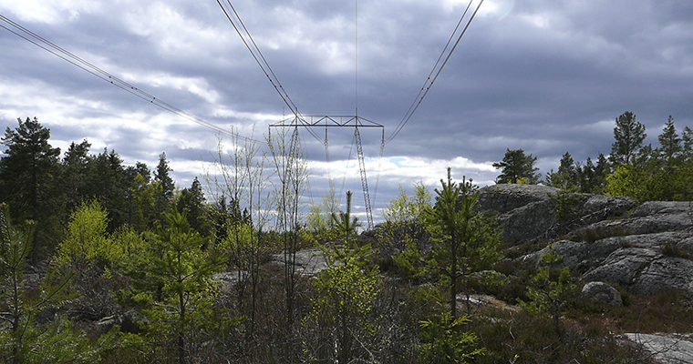 en kraftledning som går genom ett landskap med skog och berg