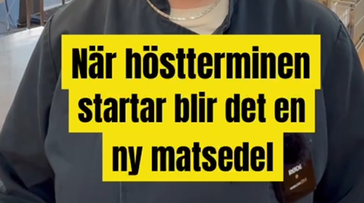 En flygbild över centrala Härnösand.