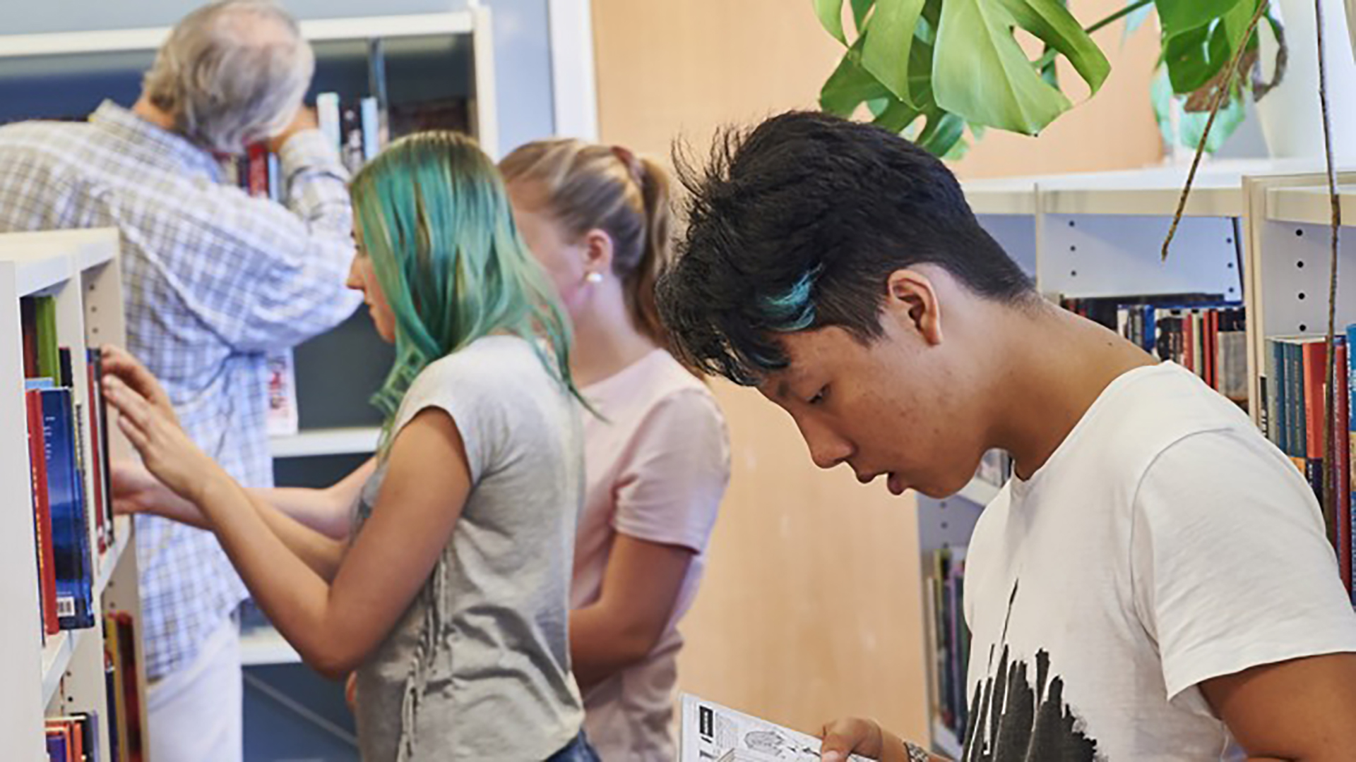 En flygbild över centrala Härnösand.