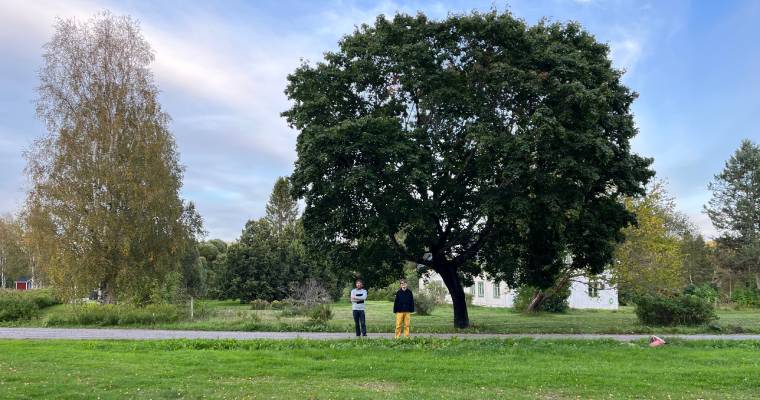 Projektledaren och byggnadsantikvarie framför stort träd i Västanå.
