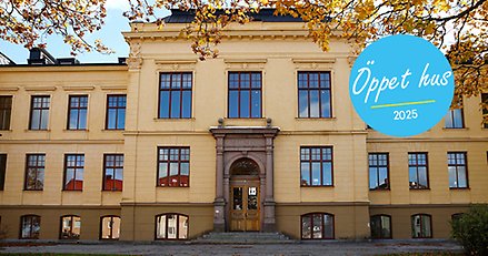 Härnösands gymnasium på hösten. Träd med orangea och gula löv.