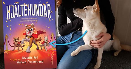 En vit hund som sitter i knät på en människa. Inklippt en bild på ett tecknat bokomslag.