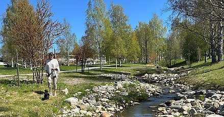 flödande bäck, grönska och kvinna med hundar