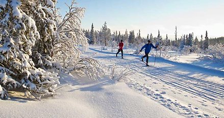 Två personer som åker skidor