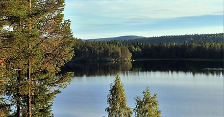 En vy över en stilla sjö.