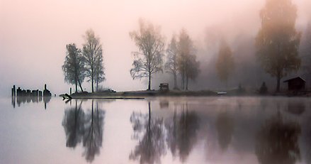 Morgondimma vid en sjö.