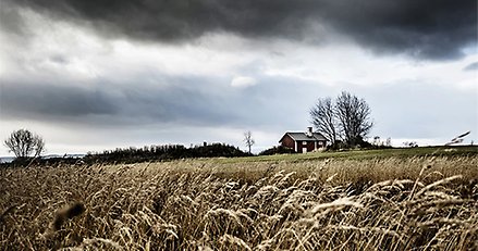 landskapsbild med en äng i förgrunden, vid horisonten ett hus under en mörk himmel