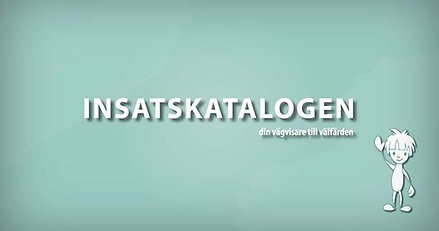 Insatskatalogen