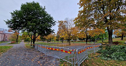 en park där en yta, en arbetsplats, är inringad med rödgula band.