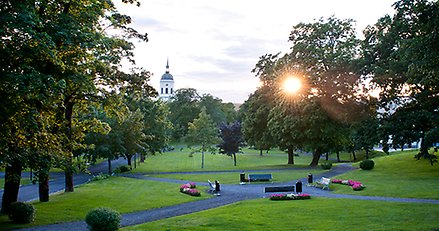 park med solnedgång bakom ett träd och kyrka i bakgrunden