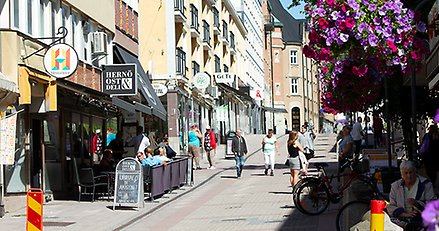 Storgatan sommartid, människor som flanerar och blommor.