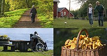 Bildkollage: En kvinna på promenad, ett par som spelar boule, en rullstolsburen man vid havet och en korg med kantareller.