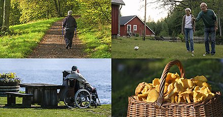 Bildkollage: En kvinna på promenad, ett par som spelar boule, en rullstolsburen man vid havet och en korg med kantareller.