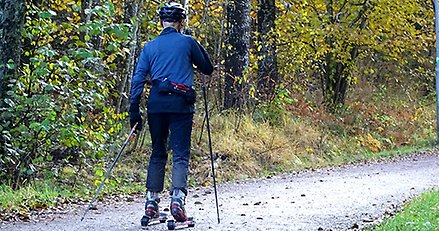en person sedd bakifrån åker rullskidor på en stig i en skog