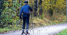 en person sedd bakifrån som åker rullskidor på en bana i en skog