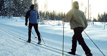 två skidåkare sedda bakifrån i ett skidspår