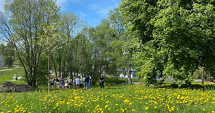 I förgrunden en äng med maskrosor och ett stort träd. I bakgrunden en grupp människor som står och samtalar i grönskan. 