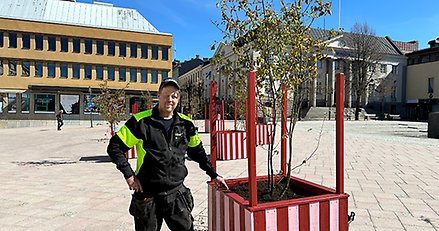 en man står bredvid en rödrandig låda med ett träd i