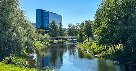 Hernö Gin Hotel sticker upp i fonden. I förgrunden träd och grönska vid kanalen.