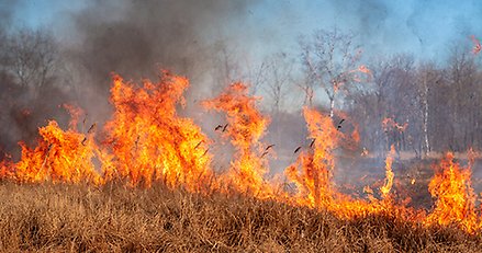 Kraftig gräsbrand.