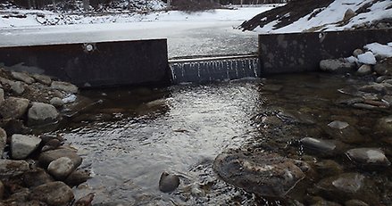 Vattensamling med stenar som sticker upp